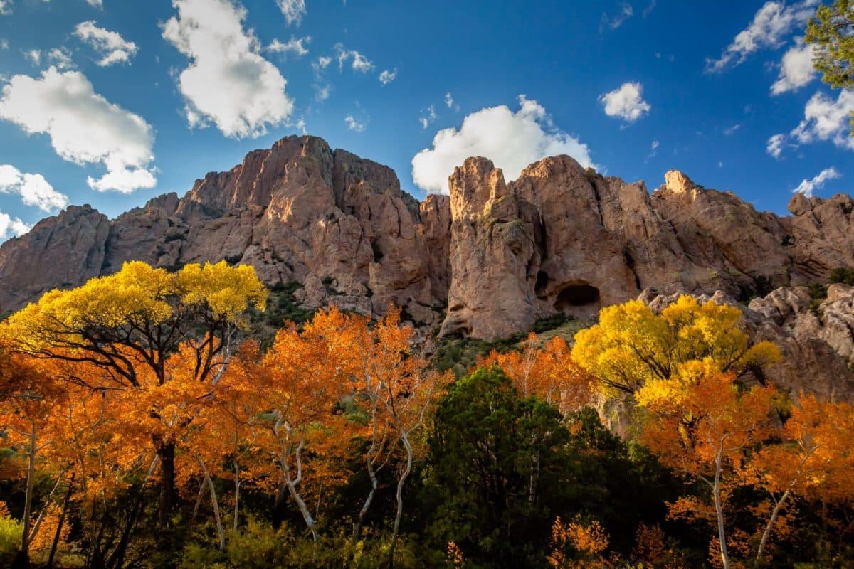 Cave Creek, Arizona