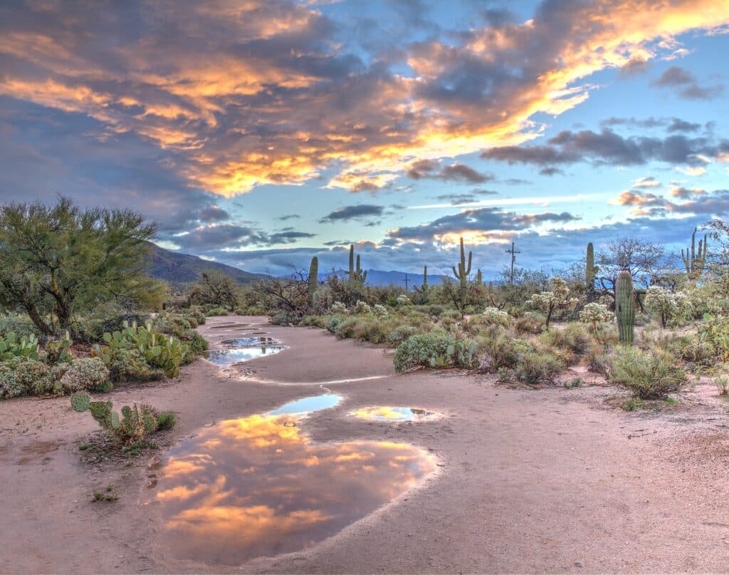 Goodyear, Arizona