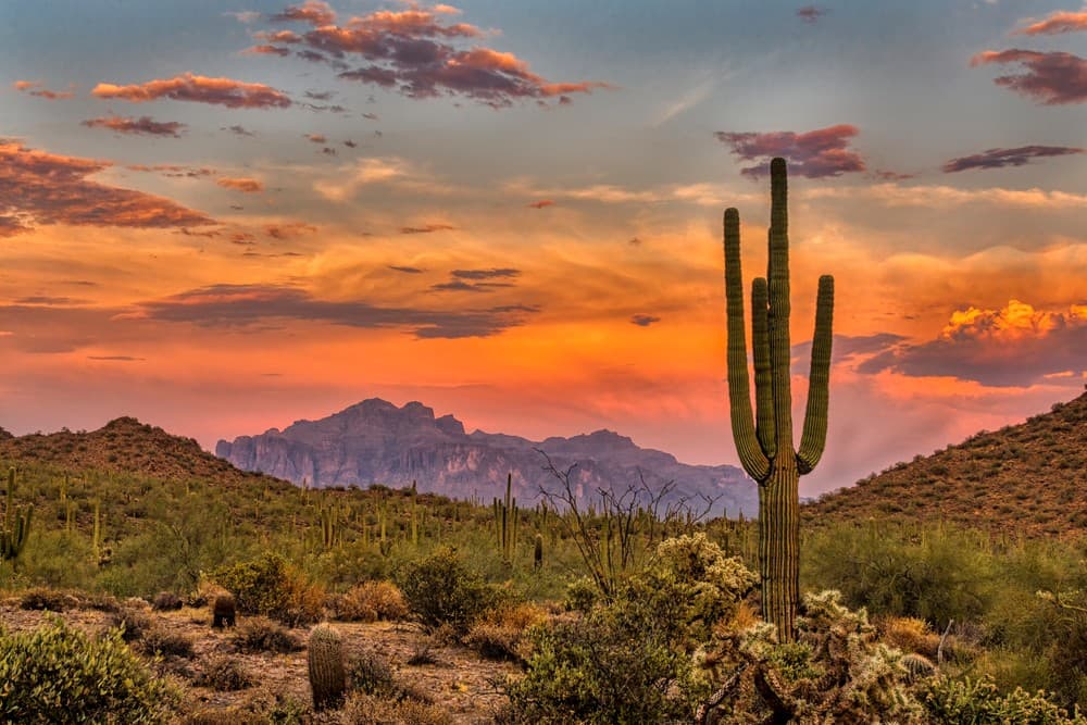 Peoria, Arizona