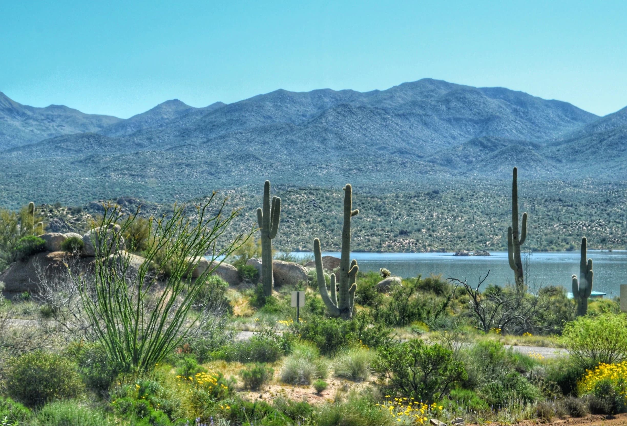 Rio Verde, Arizona